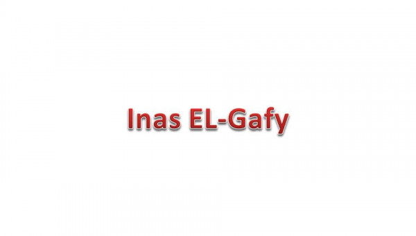 Inas El-Gafy